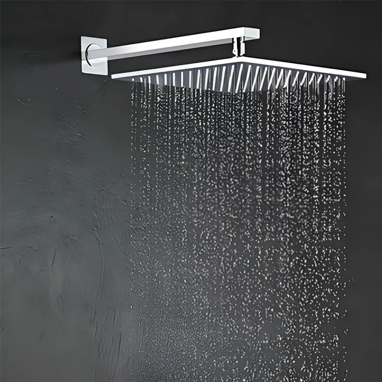 Stainless Steel Shower Head